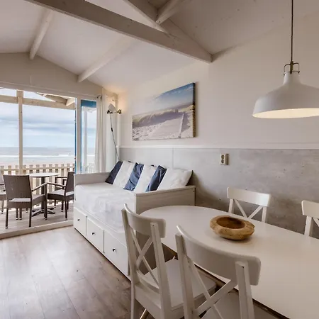House With Direct Sea View, On The North Sea Of Wijk aan Zee